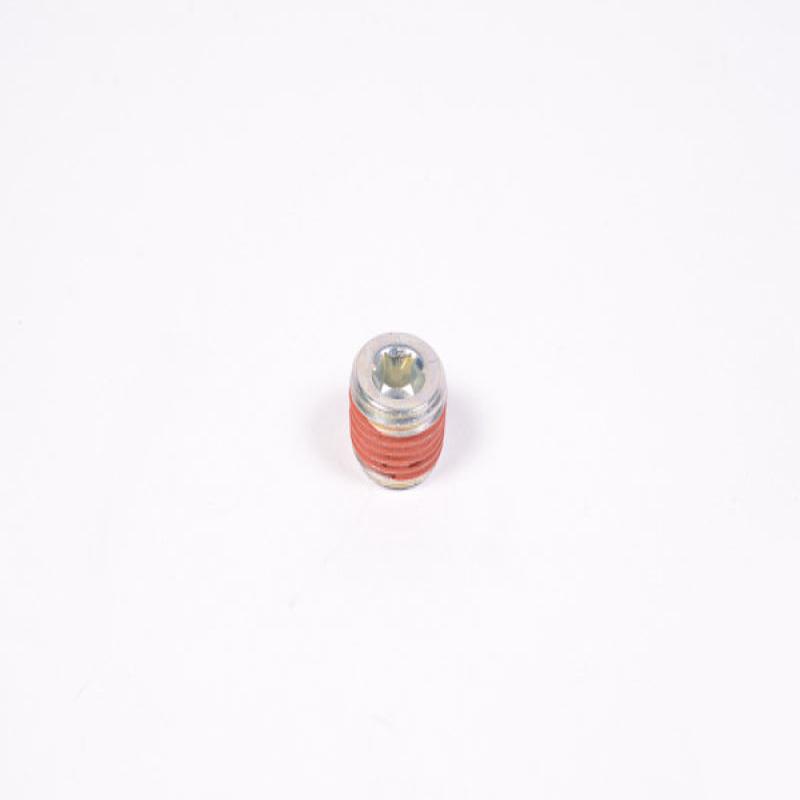 Radium Engineering 3/8in NPT Plug